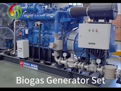 Biogasgenerator