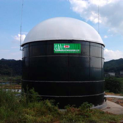 Biomasse-und Biogas-Energie-Biogas-Anlage für Elektrizitätserzeugung