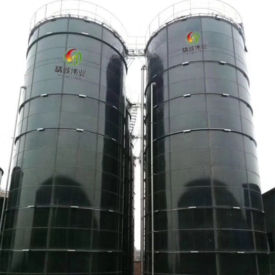 Biomasse-und Biogas-Energie-Biogas-Anlage für Elektrizitätserzeugung