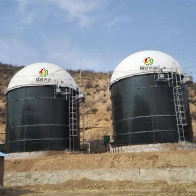 Biomasse-und Biogas-Energie-Biogas-Anlage für Elektrizitätserzeugung