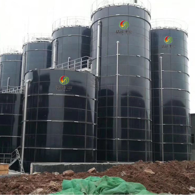 Biomasse-und Biogas-Energie-Biogas-Anlage für Elektrizitätserzeugung