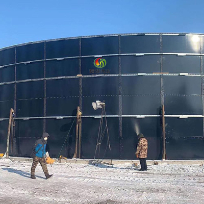 Dung Gas Plant Human Waste-Biogas-Betriebsanaerobe Verdauungs-Kraftwerk