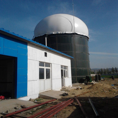 Entwurf des anaeroben Reaktors im globalen Biogas-Betriebsprojekt