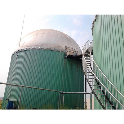 Entwurf des anaeroben Reaktors im globalen Biogas-Betriebsprojekt
