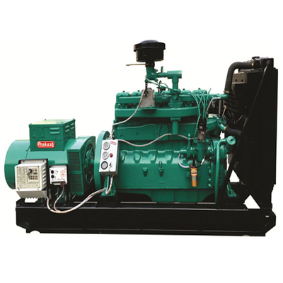 Sprühfarben-LPG-Generator mit individueller Leistung und fortschrittlicher Technologie