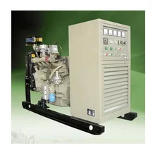 Sprühfarbe Biogas-Elektrogenerator Brennstofftyp Biogas