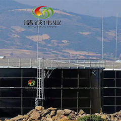 Anaerobes Biogas des Flüssigbettreaktor-UASB vom Hühnerdüngemittel