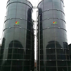 Reaktor Upflow-anaerober Schlamm-umfassende Verdauung des Biogas-EGSB für Hühnerdüngemittel