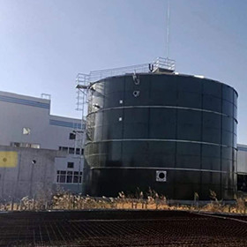Reaktor-Abwasserbehandlungs-Düngemittel-Methan-Digestor EGSB anaerober