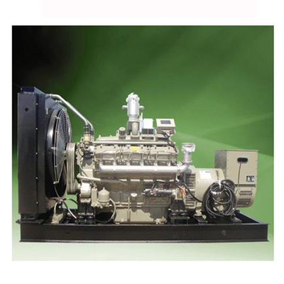 Kleinster Generator-stiller Methan-Generator-Strom des Biogas-200KW